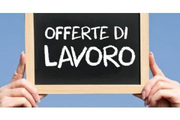 Bollettino del lavoro - 02.12.2024